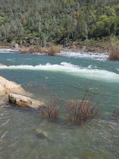 Oregon Bar - Pilot Hill, CA