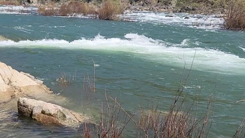 Oregon Bar - Pilot Hill, CA