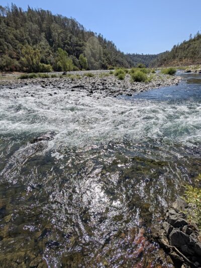 Oregon Bar - Pilot Hill, CA