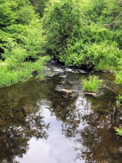 Crawford Walking Trail - Pine Bush, NY