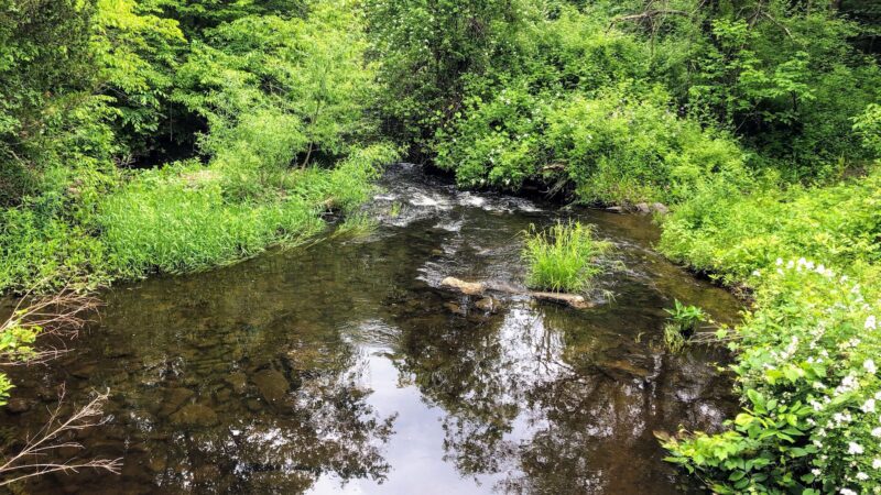 Crawford Walking Trail - Pine Bush, NY