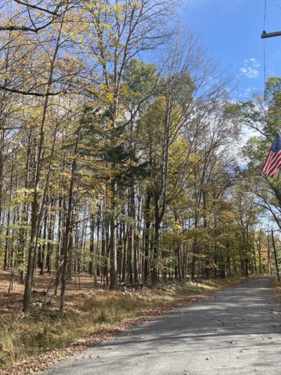 Crawford Walking Trail - Pine Bush, NY