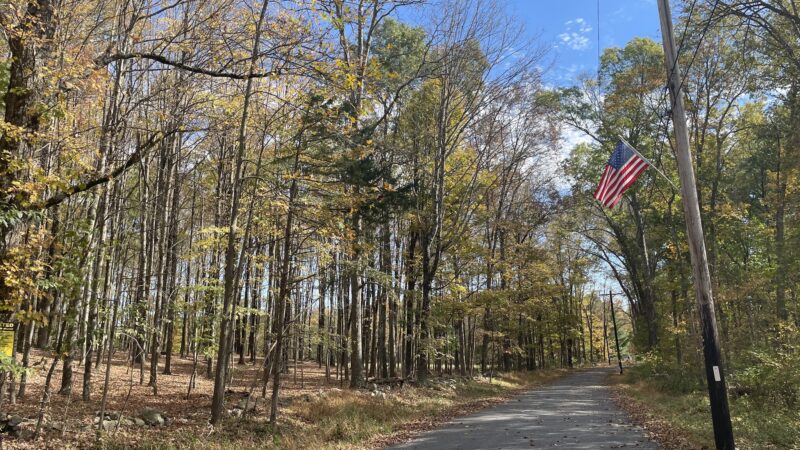 Crawford Walking Trail - Pine Bush, NY