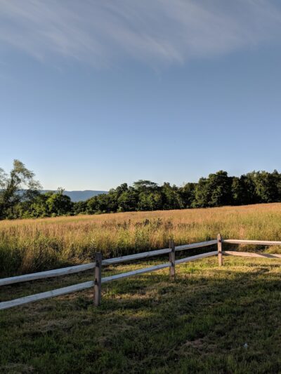 Crawford Walking Trail - Pine Bush, NY