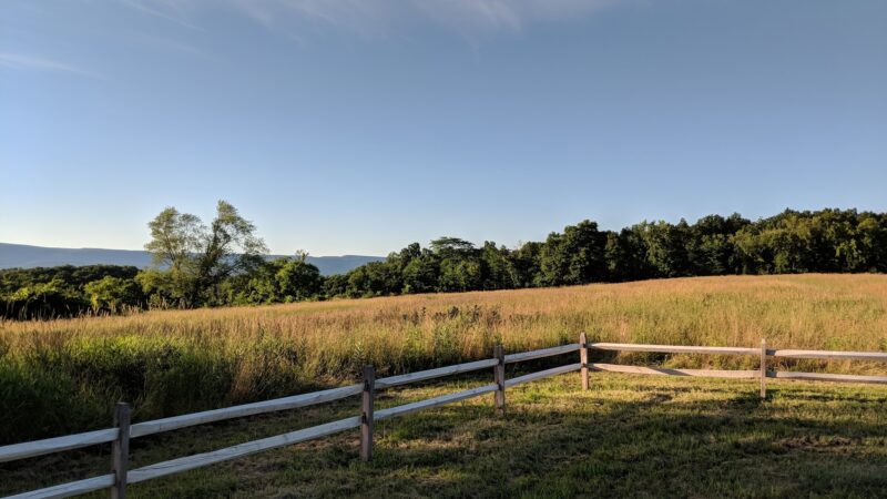 Crawford Walking Trail - Pine Bush, NY