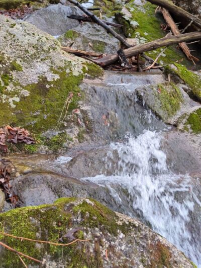 Shawangunk Ridge Forest Trailhead Parking - Pine Bush, NY