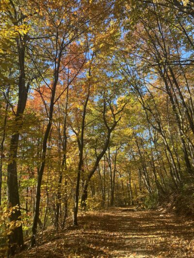 Shawangunk Ridge Forest Trailhead Parking - Pine Bush, NY