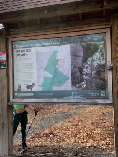 Shawangunk Ridge Forest Trailhead Parking - Pine Bush, NY