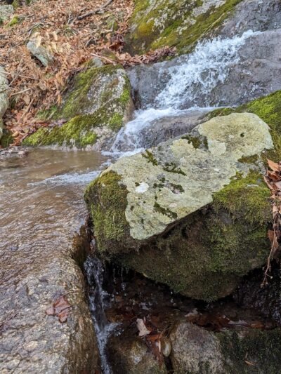 Shawangunk Ridge Forest Trailhead Parking - Pine Bush, NY