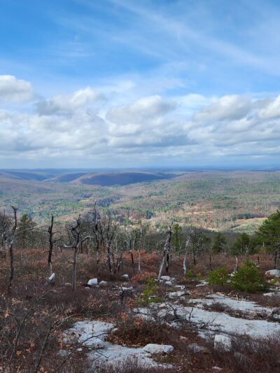 Shawangunk Ridge State Forest Trailhead & Parking Lot - Pine Bush, NY