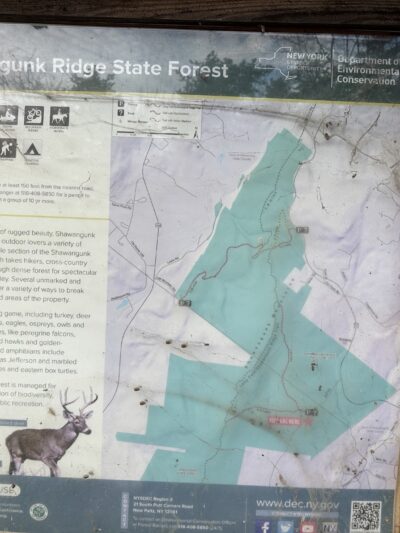 Shawangunk Ridge State Forest Trailhead & Parking Lot - Pine Bush, NY