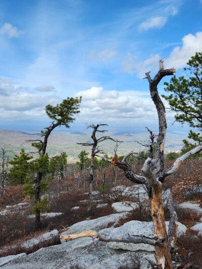 Shawangunk Ridge State Forest Trailhead & Parking Lot - Pine Bush, NY