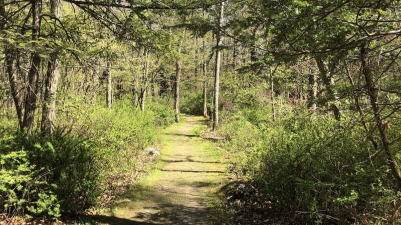 Verkeerderkill Park - Pine Bush, NY