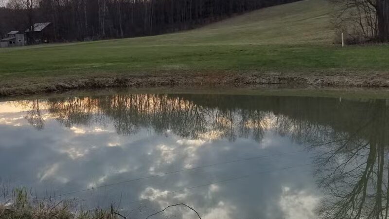 Draxler Park - Pine City, NY