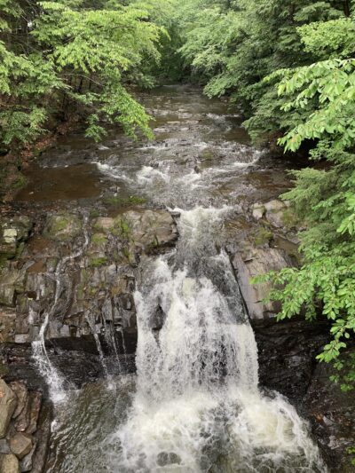 Craig Morgan Walking Trail - Pine Grove, PA