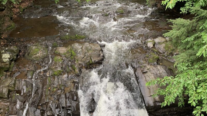 Craig Morgan Walking Trail - Pine Grove, PA