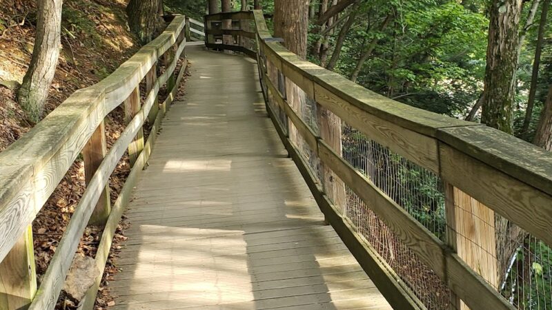 Craig Morgan Walking Trail - Pine Grove, PA