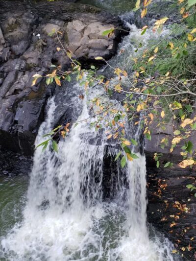 Craig Morgan Walking Trail - Pine Grove, PA