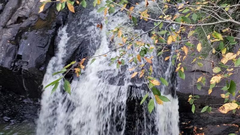 Craig Morgan Walking Trail - Pine Grove, PA