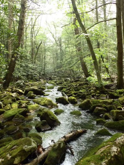 Siegrist Dam - Pine Grove, PA