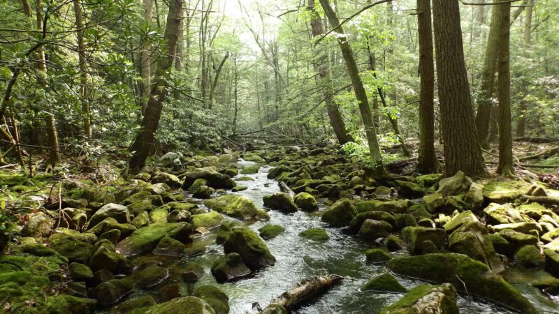 Siegrist Dam - Pine Grove, PA