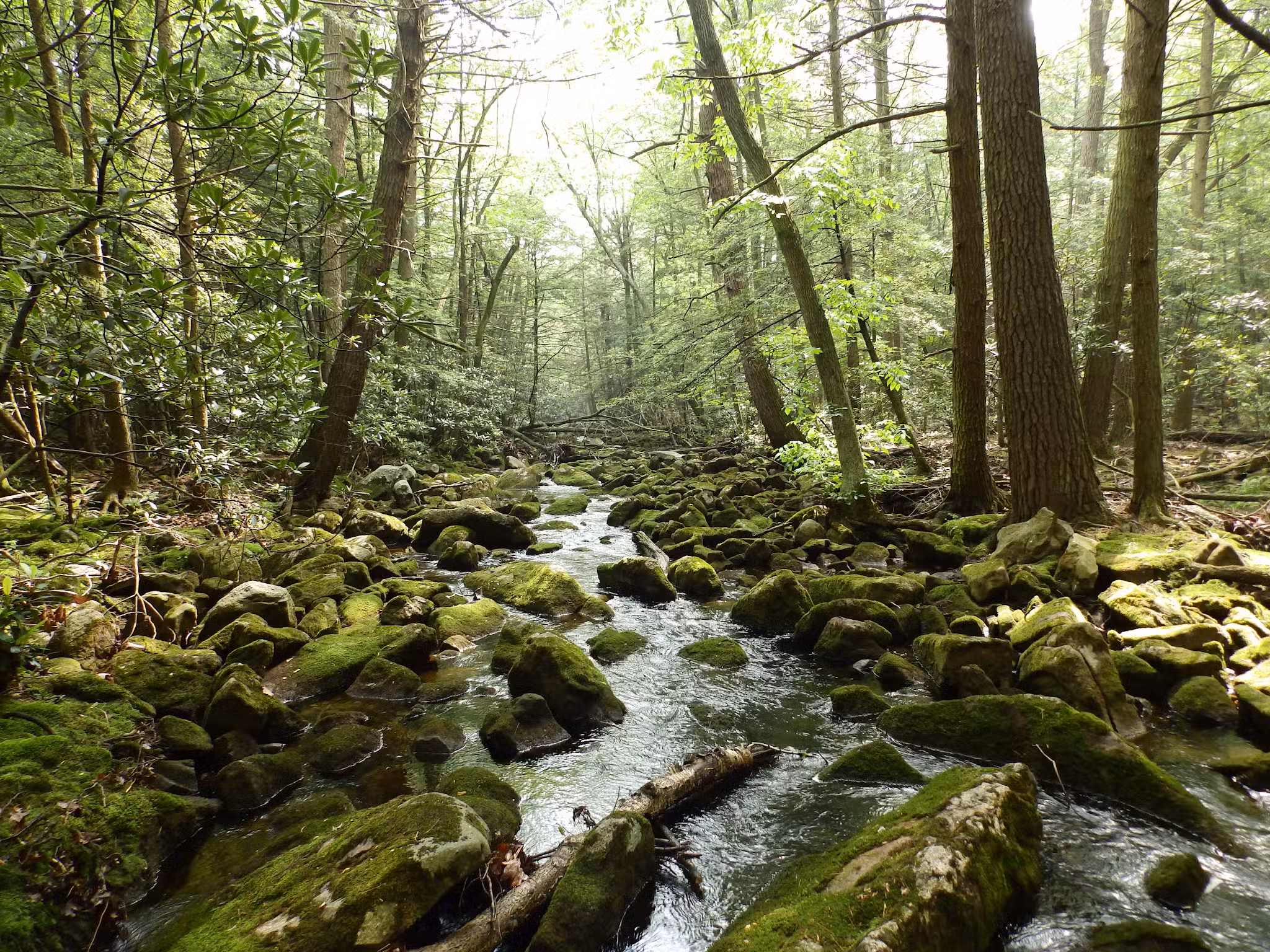 Siegrist Dam - Pine Grove, PA