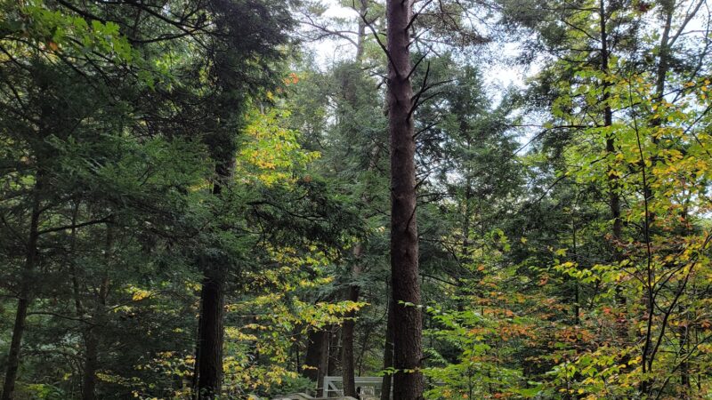 Sweet Arrow Falls - Pine Grove, PA