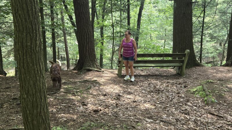 Sweet Arrow Falls - Pine Grove, PA