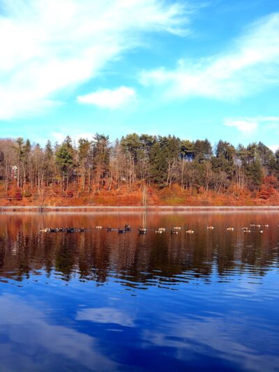 Sweet Arrow Lake County Park - Pine Grove, PA