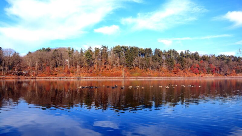 Sweet Arrow Lake County Park - Pine Grove, PA