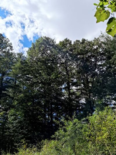 Sweet Arrow Lake - Pine Grove, PA