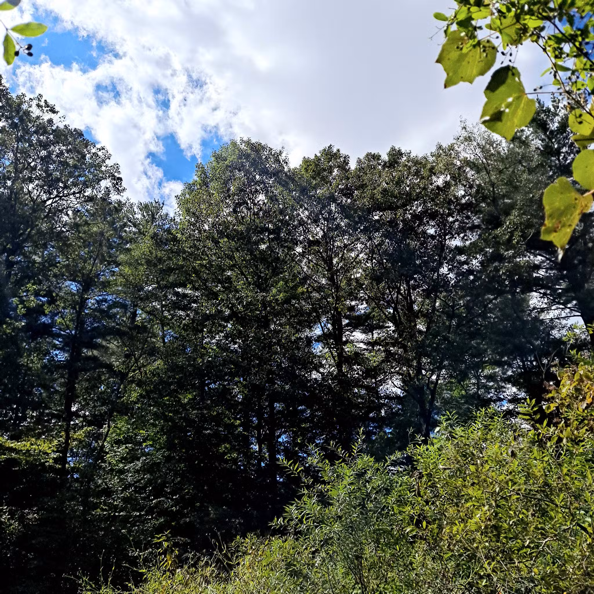 Sweet Arrow Lake - Pine Grove, PA