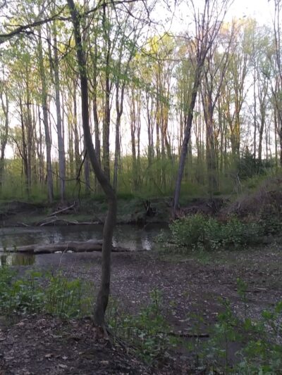 Swopes Valley Trailhead - Pine Grove, PA