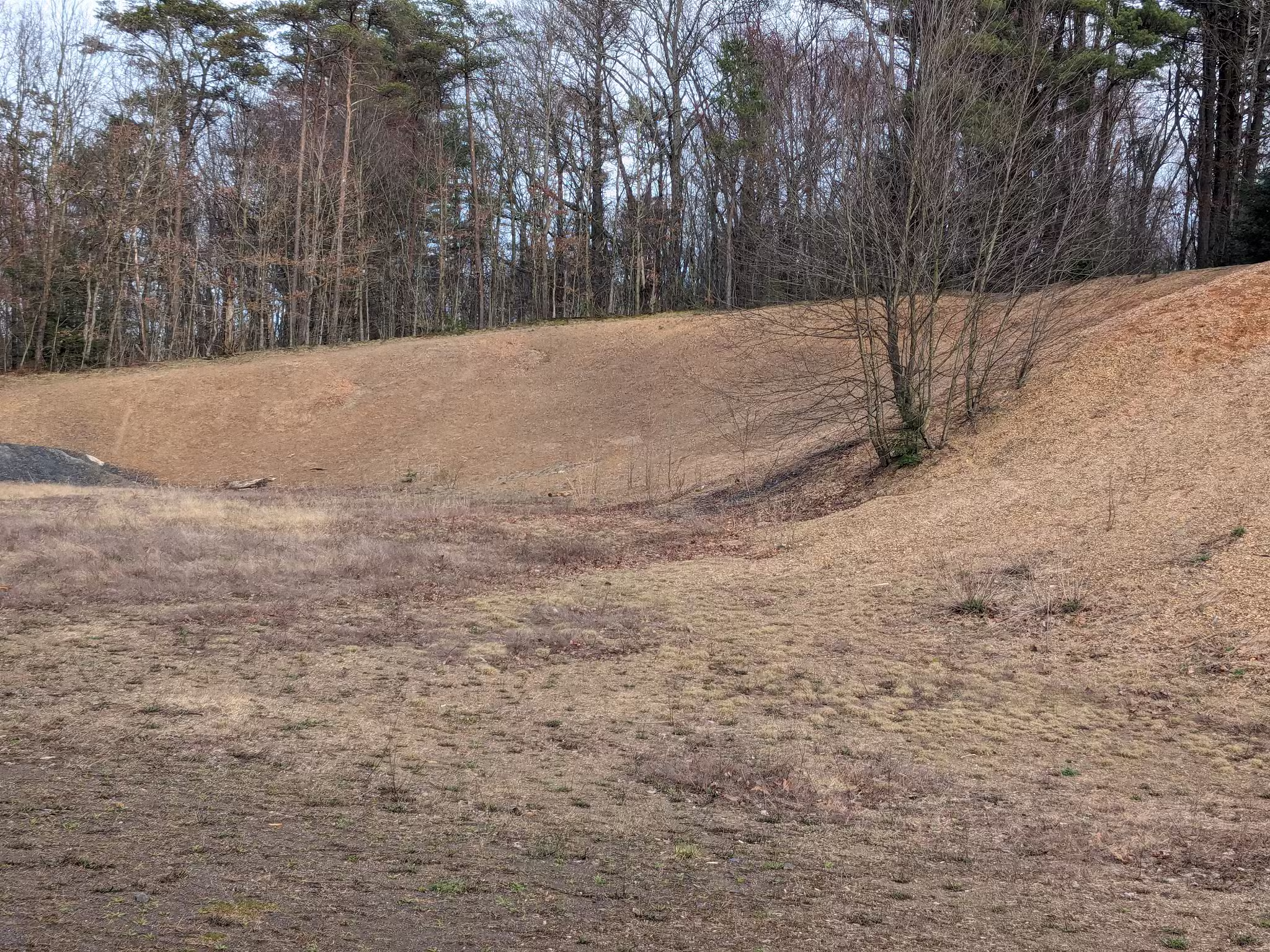 Swopes Valley Trailhead - Pine Grove, PA