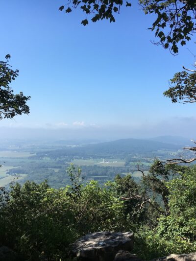 Weiser State Forest - Pine Grove, PA
