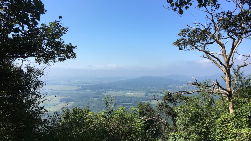 Weiser State Forest - Pine Grove, PA