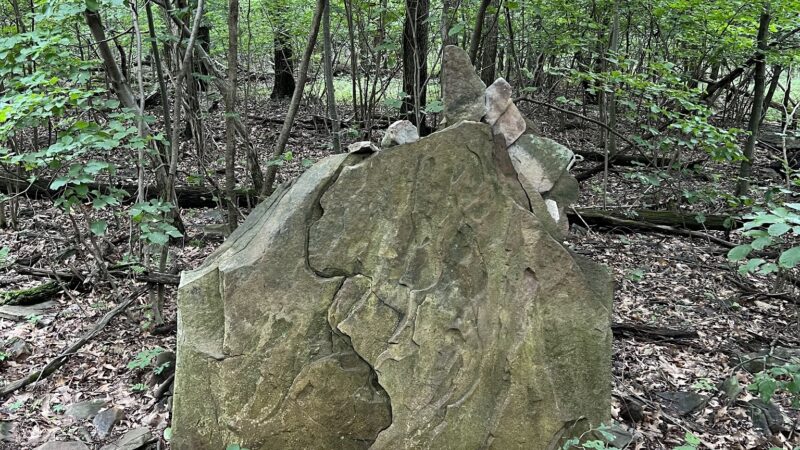 Weiser State Forest - Pine Grove, PA
