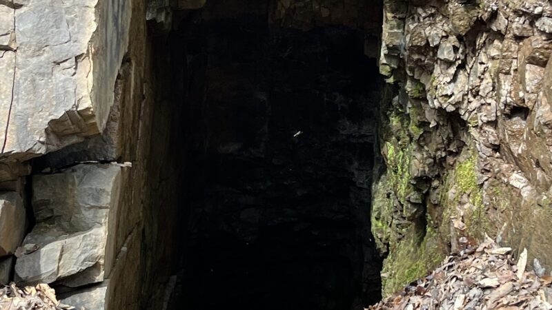 Lickdale Rail Trail - Pine Grove Township, PA