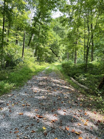 Lickdale Rail Trail - Pine Grove Township, PA