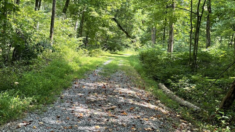 Lickdale Rail Trail - Pine Grove Township, PA