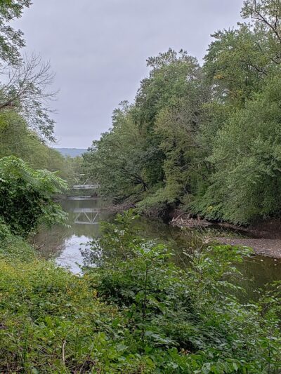 Lickdale Rail Trail - Pine Grove Township, PA