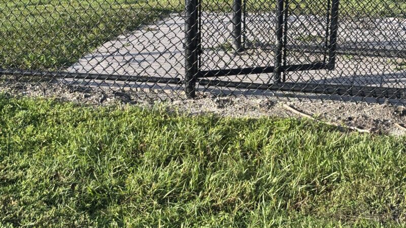 Barnett Dog park - Pine Hills, FL