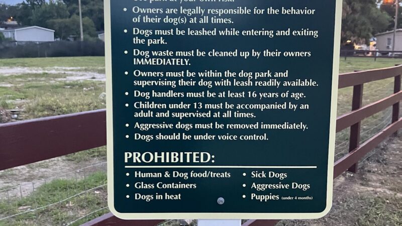 J Dog Park - Pine Hills, FL