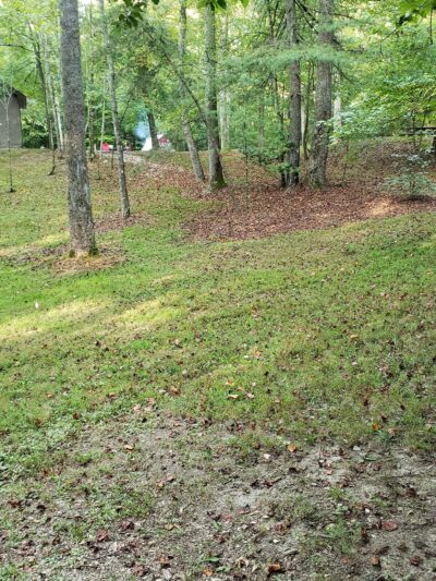 Trail #220 Trailhead - Pine Ridge, KY