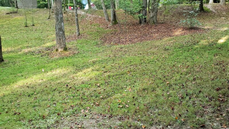 Trail #220 Trailhead - Pine Ridge, KY