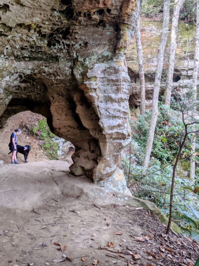 Trail #220 Trailhead - Pine Ridge, KY