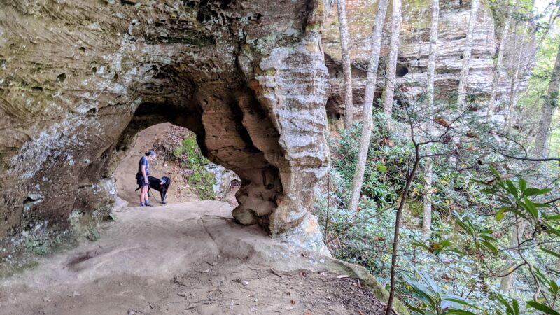 Trail #220 Trailhead - Pine Ridge, KY