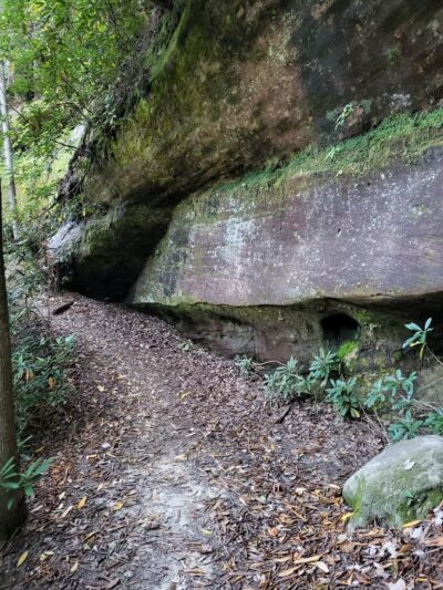 Trail #220 Trailhead - Pine Ridge, KY