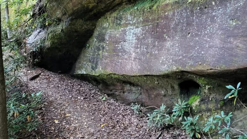 Trail #220 Trailhead - Pine Ridge, KY