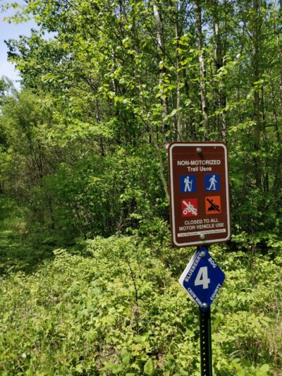 Blueberry Bog Trail - Pine River, MN